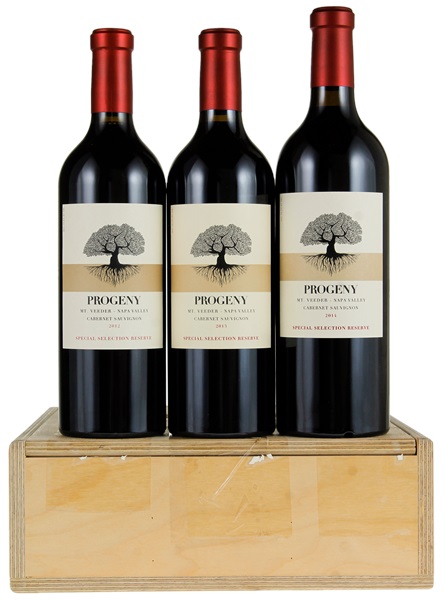 2013 Progeny Winery Special Selection Reserve Cabernet Sauvignon, 750ml