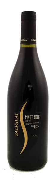 2010 Salvalai Pinot Noir, 750ml